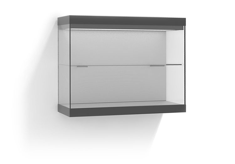 Wall Display Case